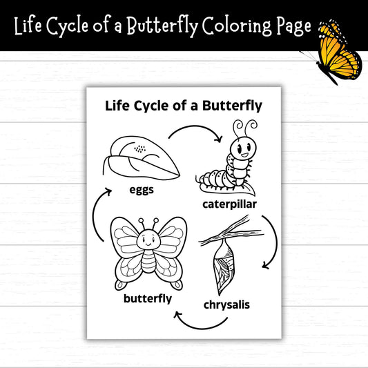 Life Cycle of a Butterfly Coloring Page, Butterfly Life Cycle Activity, Life Cycles, Butterfly Printable, Butterfly Theme, Butterfly Unit
