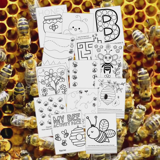 Bee Activity Pack, Printable Bee Activities, Activity Pack for Kids, Honey Bees, Bee Worksheets, Spring Activities, Bee Unit, Printable Bee