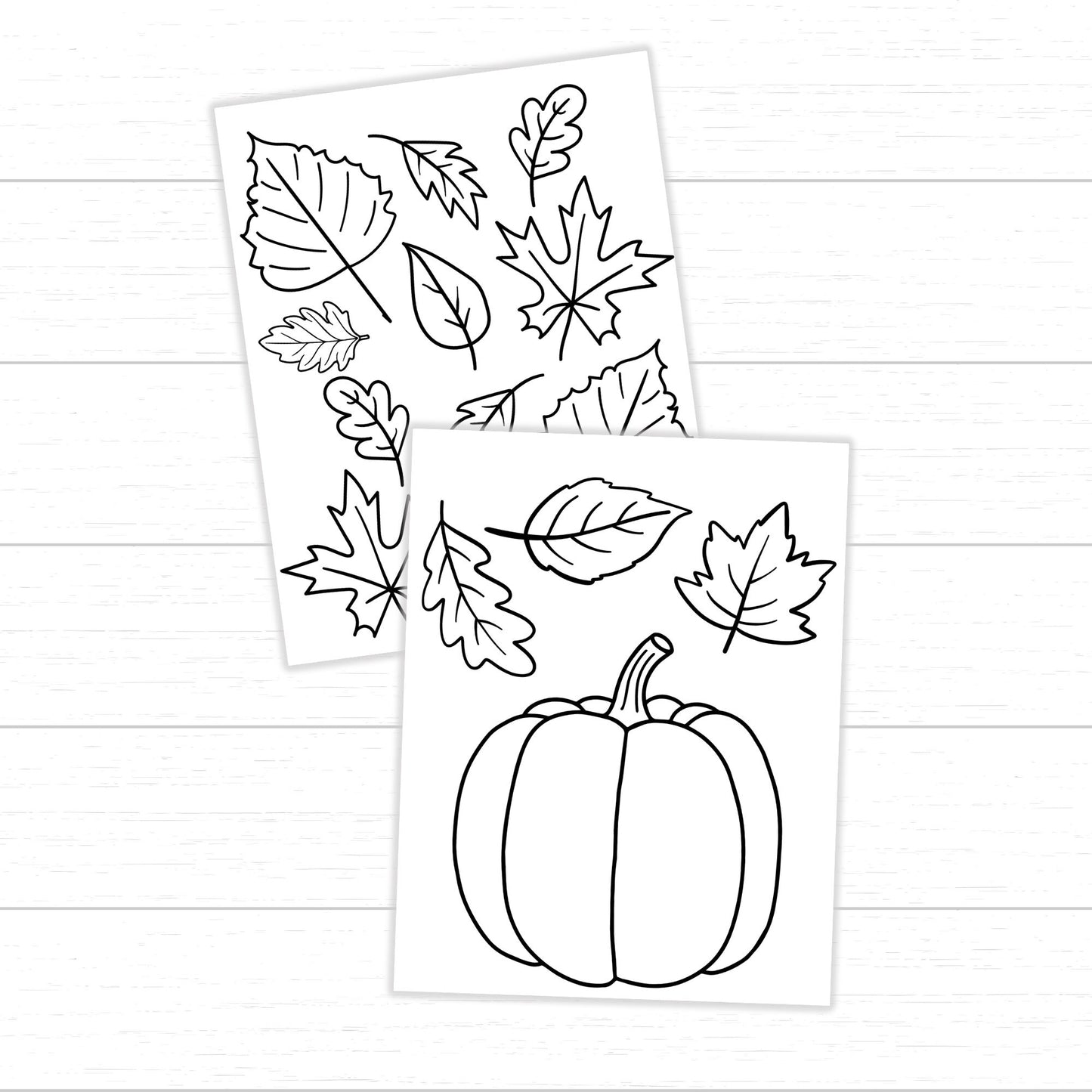 Fall Leaf Coloring Pages, Fall Leaf Activities, Fall Leaf Activity Pack, Fall Printables for Kids, Fall Worksheets, Leaf Activities for Fall