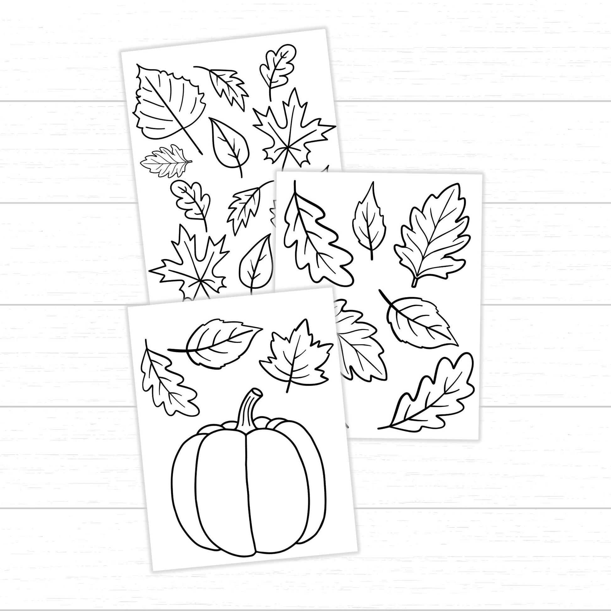 Fall Leaf Coloring Pages, Fall Leaf Activities, Fall Leaf Activity Pack, Fall Printables for Kids, Fall Worksheets, Leaf Activities for Fall