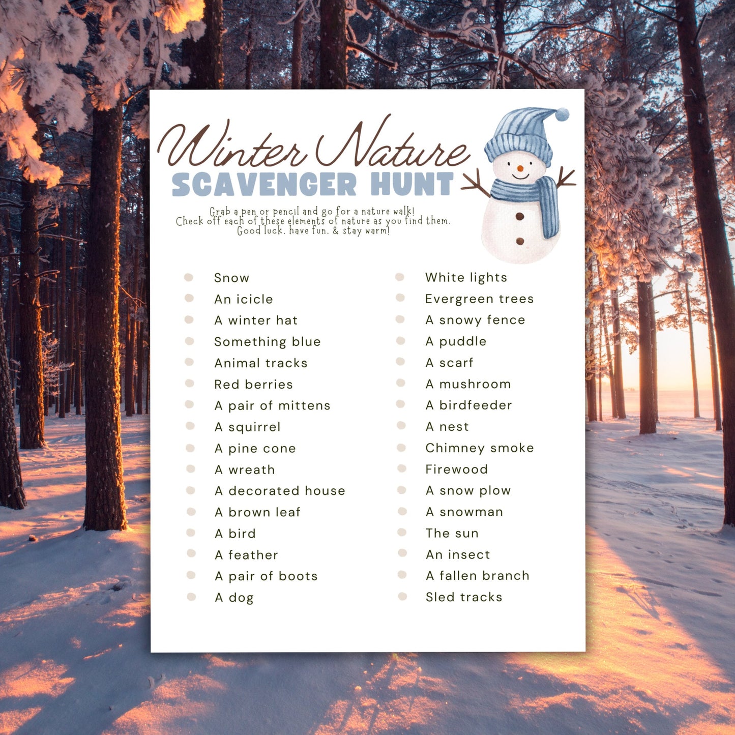 Winter Nature Scavenger Hunt, Winter Printables for Kids, Outdoor Winter Activities For Kids, Winter Games for Kids, Winter Seek and Find