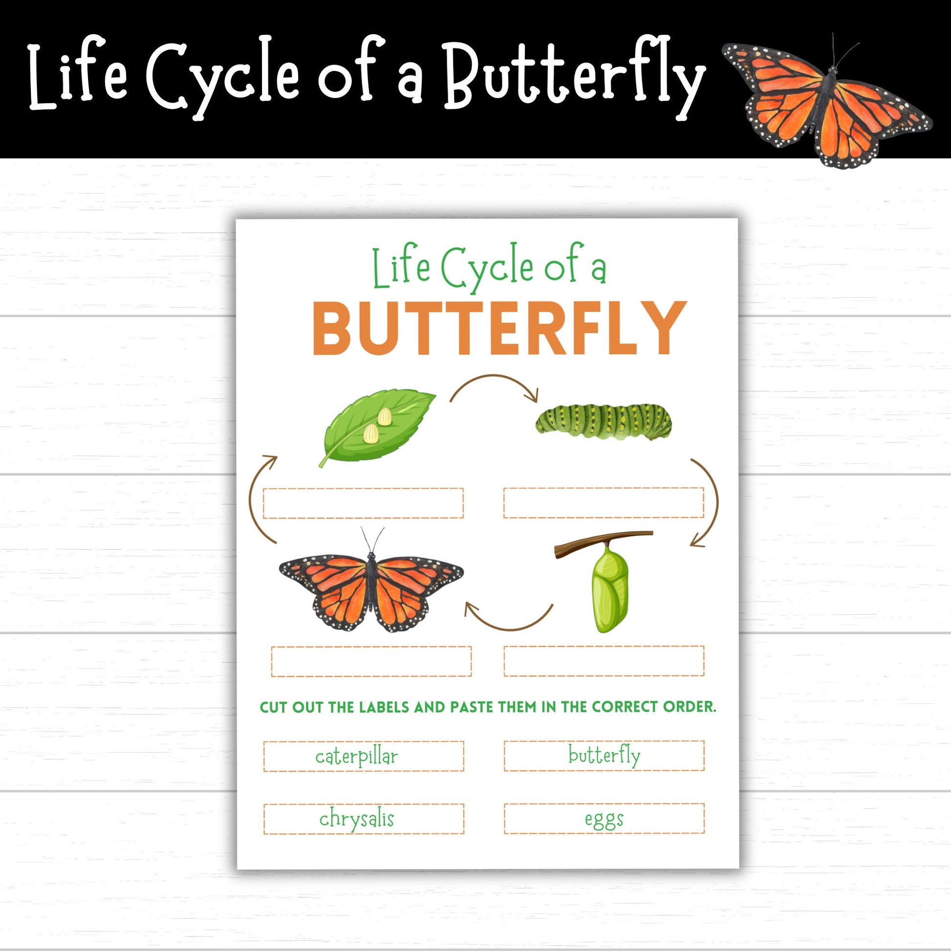 Life Cycle of a Butterfly, Printable Butterfly Life Cycle, Life Cycle Worksheets, Printable Life Cycles, Life Cycle of an Insect
