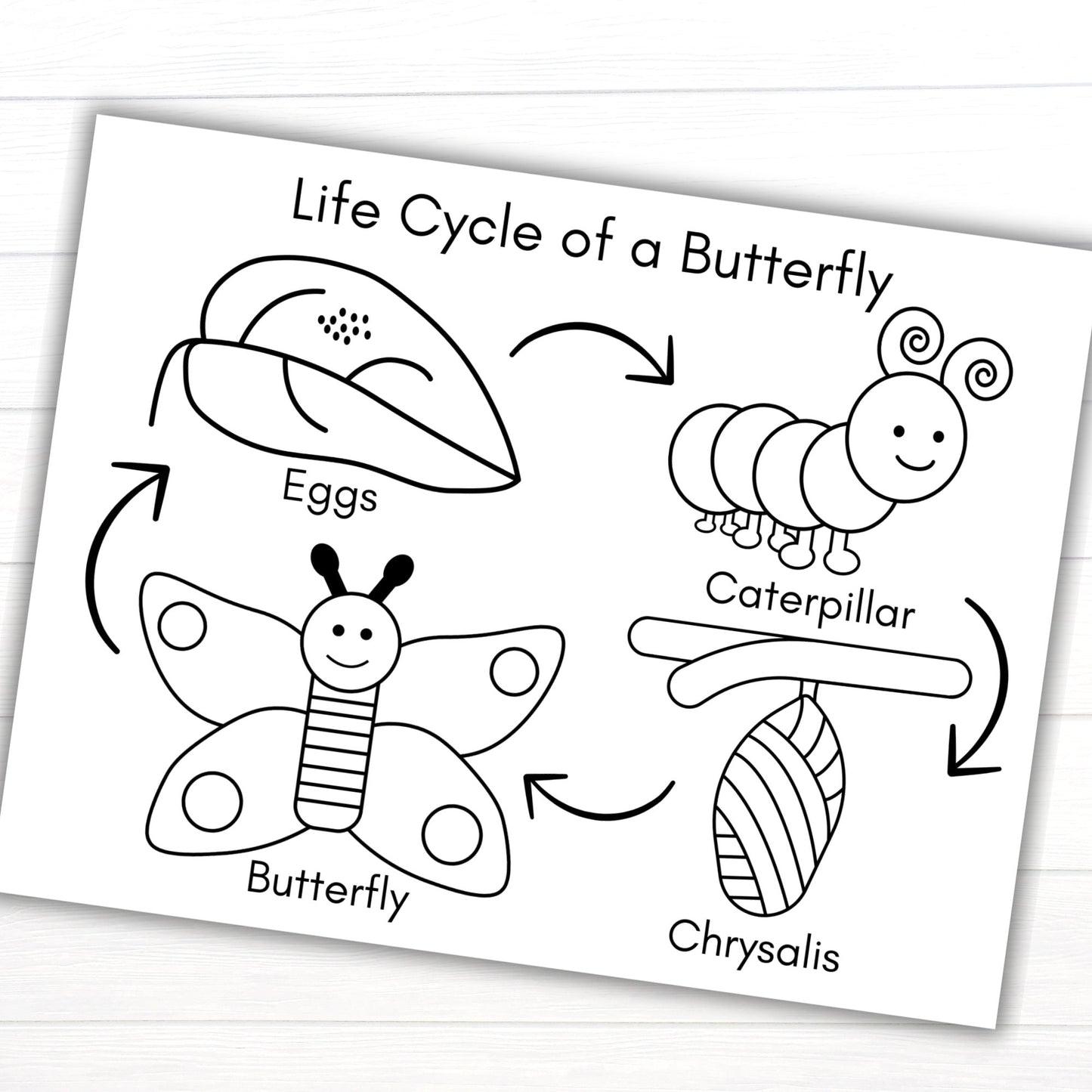 Butterfly Life Cycle Coloring Page, Printable Life Cycle of a Butterfly Activities, Life Cycles, Butterfly Activities, Butterfly Printables